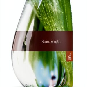 FEB Coleção Yvonne A Pereira Livre Portugais Brésilien-0