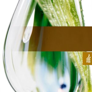 Livre Yvonne A Pereira Collection Portugais Edition 1er-0