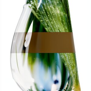 FEB Editora Livre Anglais Édition 1er Lecture Confortable-0