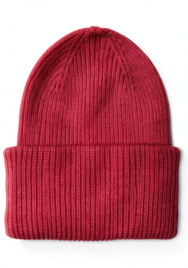 Chapeau en laine Merino Colorful Standards-1