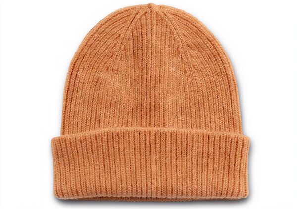 Vêtement Homme Honey Beige Colorful Standard-0
