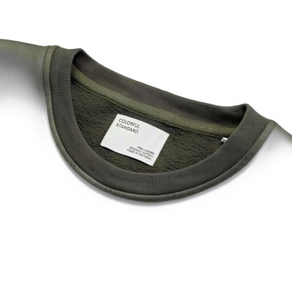 Vêtement Classique Colorful Standard CS1005-SEAWEEDGREEN-2