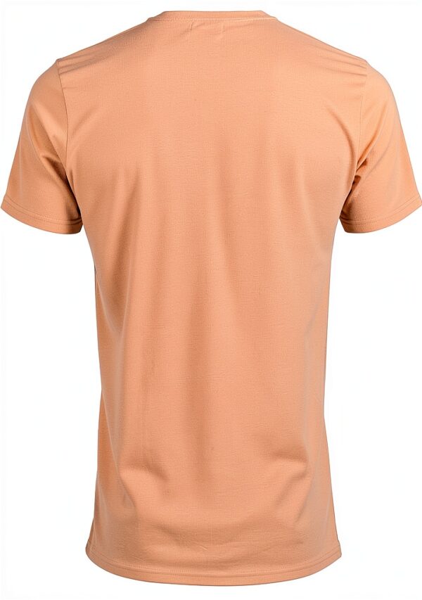 Chemise classique manches courtes CS1001-1