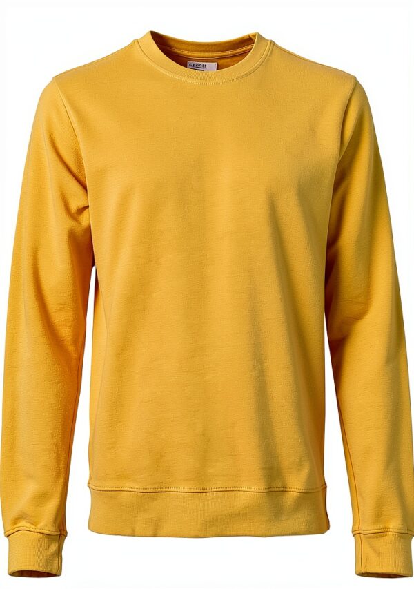 Sweatshirt coton bio Colorful Standard jaune brûlé-0