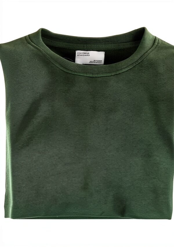 Sweatshirt Colorful Standard Classic Vert Émeraude XL et Coton doux-1