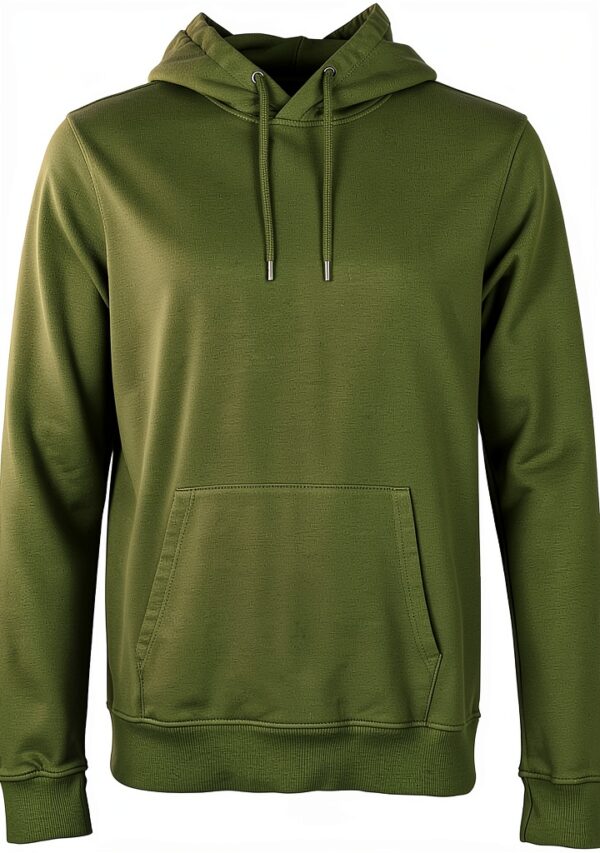 Colorful Standard Sweat à capuche en coton bio Seaweed Green M-0