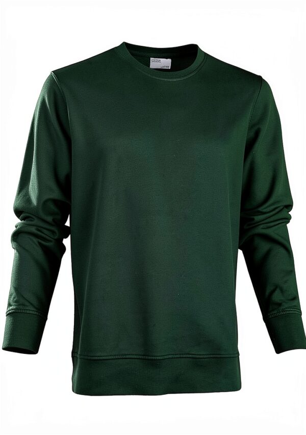 Sweatshirt Colorful Standard Classic Vert Émeraude XL et Coton doux-0