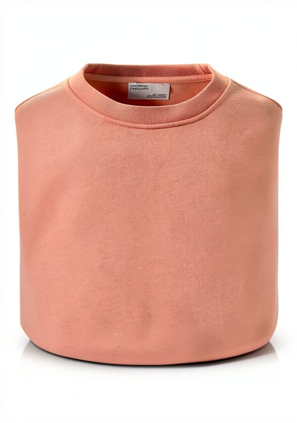 Colorful Standard Classic Organic Crew - Corail vif-1