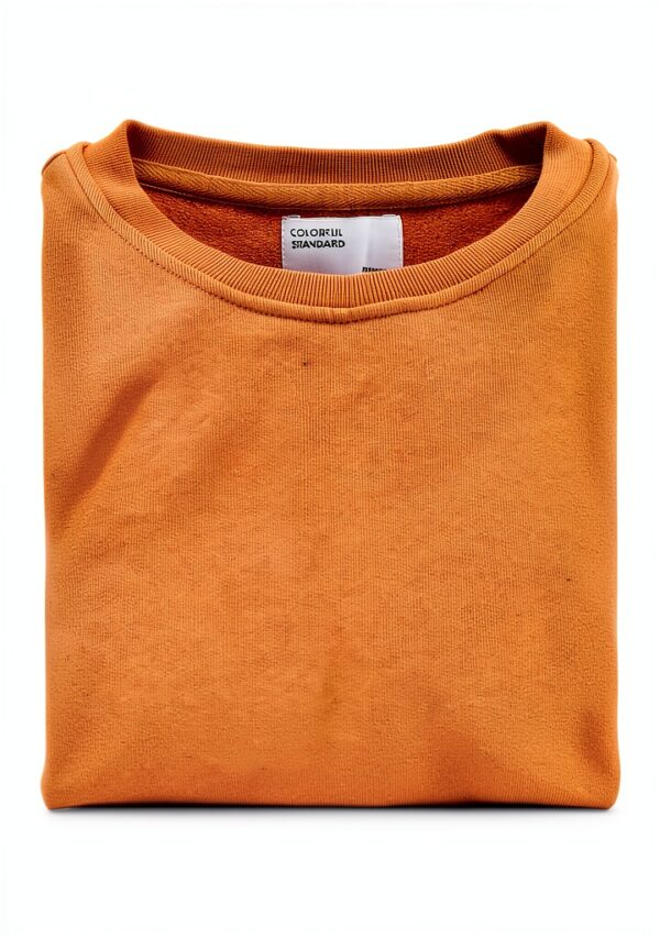 Sweatshirt en coton bio Colorful Standard - Burned Orange, taille M-1