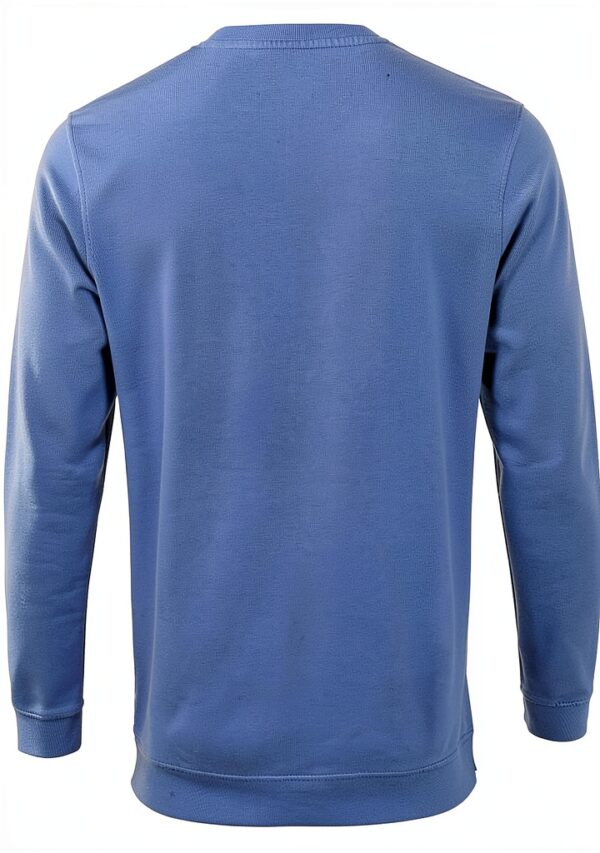 Sweat à col rond Colorful Standard en coton bio bleu ciel taille M-3