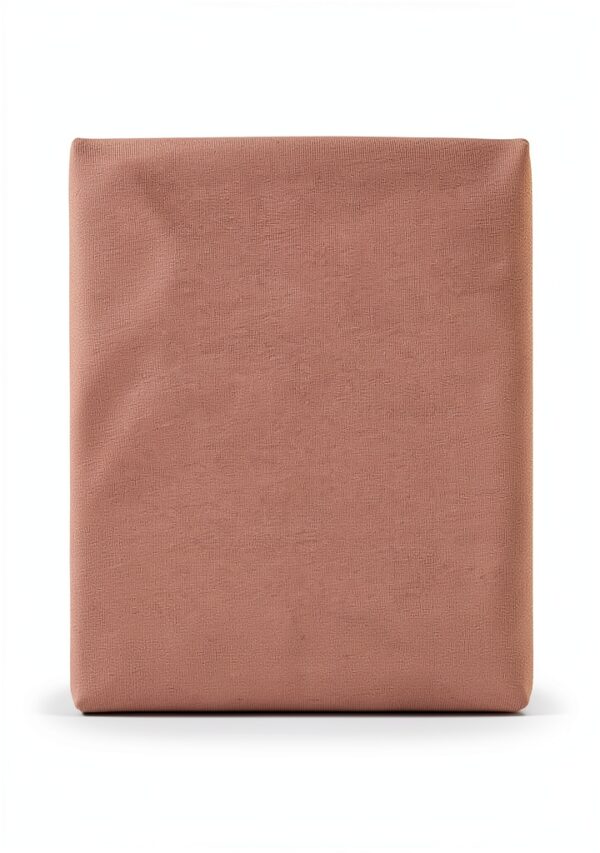 Colorful Standard T-Shirt Classic Organic Rosewood Mist-2