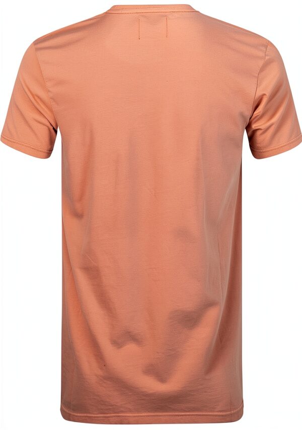 Colorful Standard T-Shirt Classic Organic Rosewood Mist-3