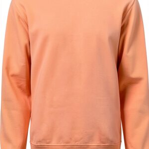 Colorful Standard Classic Organic Crew - Corail vif-0