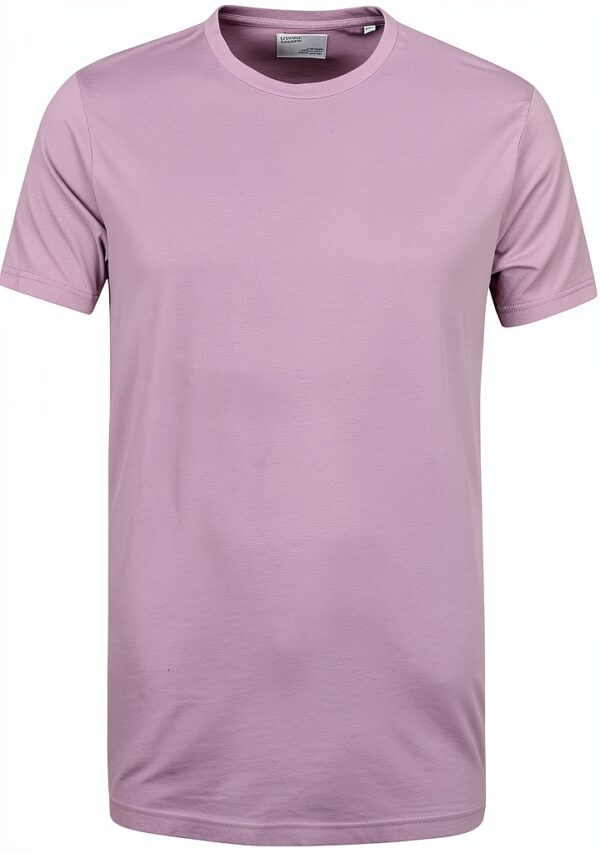 T-shirt Homme Colorful Standard Pearly Purple, Manches Courtes en-0