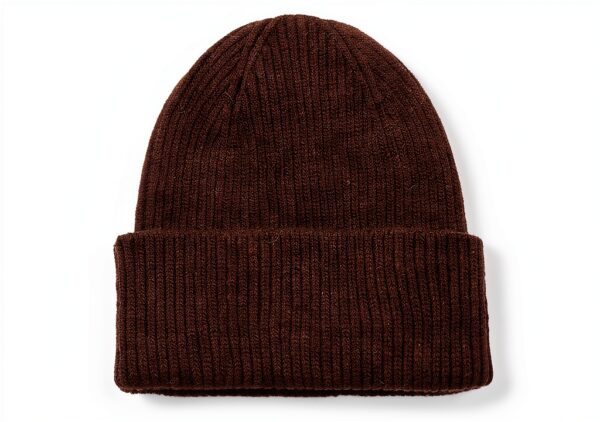 Chapeau bonnet en laine merino Colorful Standard, couleur café marron-1