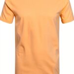 Colorful Standard T-Shirt Classic Organic Sandstone Orange-0