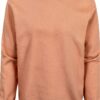 Colorful Standard Sweatshirt col Rond Classic Organic Rosewood Mist-0