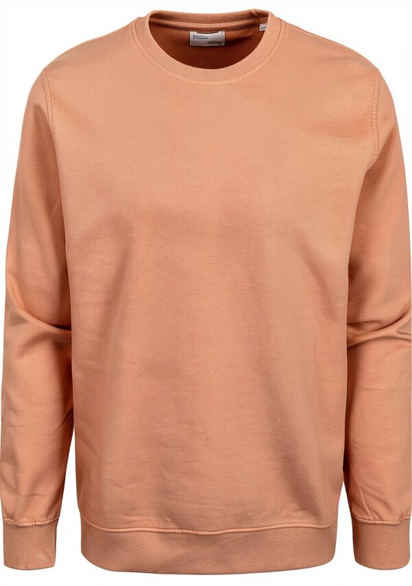 Colorful Standard Sweatshirt col Rond Classic Organic Rosewood Mist-0