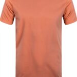 Colorful Standard T-Shirt Classic Organic Rosewood Mist-0