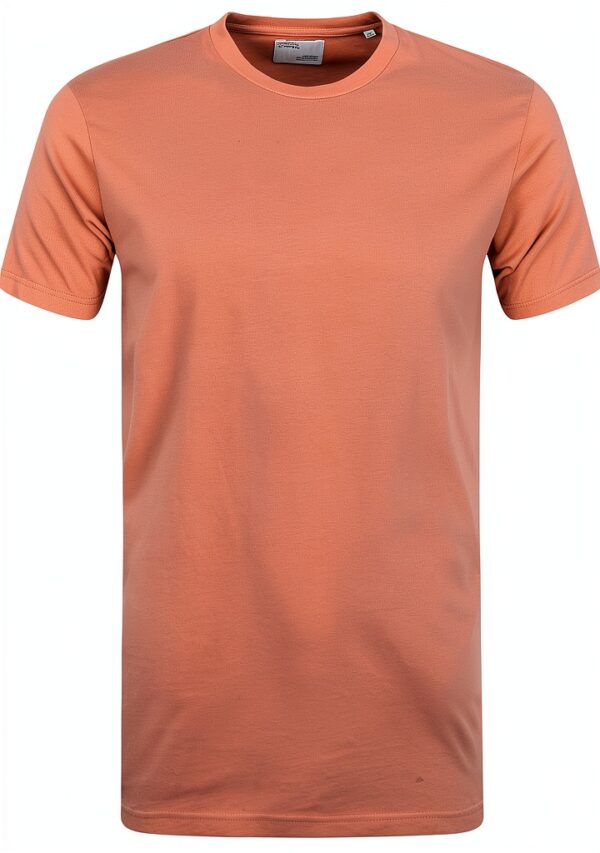Colorful Standard T-Shirt Classic Organic Rosewood Mist-0