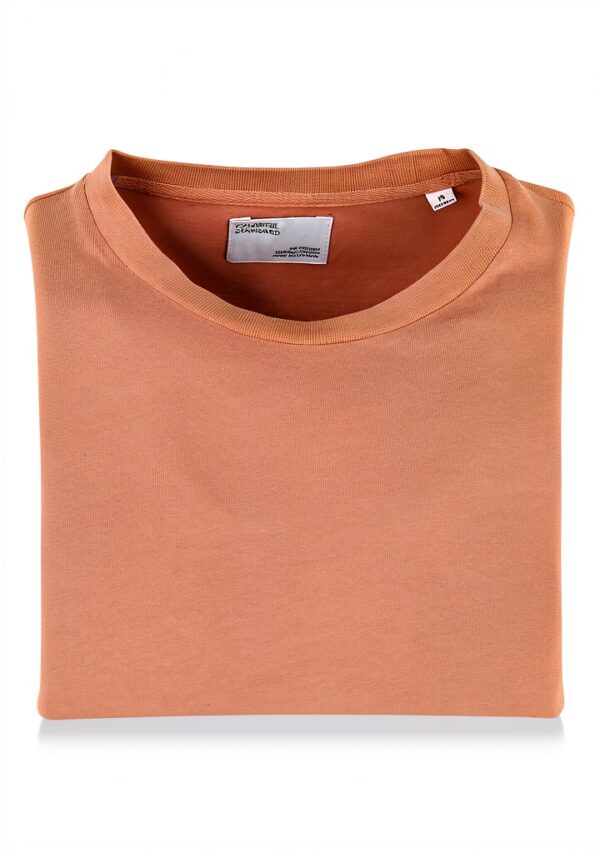 Colorful Standard T-Shirt Classic Organic Rosewood Mist-1
