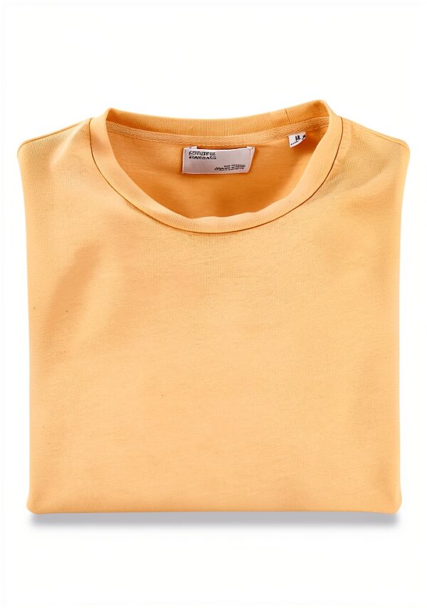 Colorful Standard T-Shirt Classic Organic Sandstone Orange-1