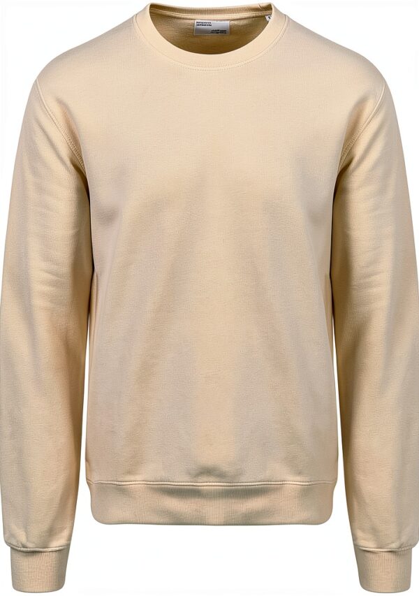 Sweatshirt col Rond Colorful Standard - Classic Organic Ivory White-0