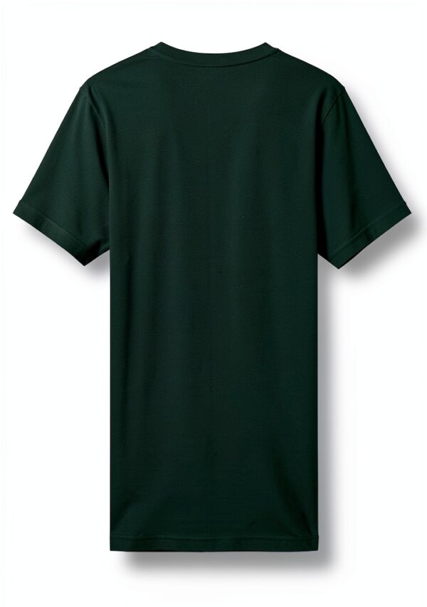 Colorful Standard T-Shirt Classic Organic Emerald Green-1