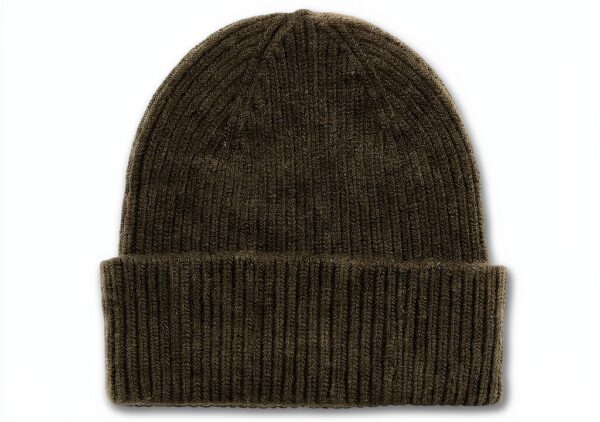Chapeau bonnet en laine Merino vert émeraude Colorful Standard-0