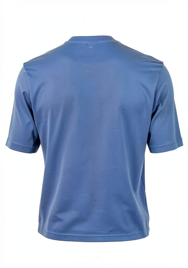 COLORFUL STANDARD T T-shirt pour homme Bleu-4