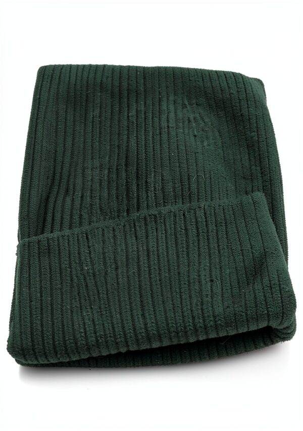 Chapeau bonnet en laine Merino vert émeraude Colorful Standard-1