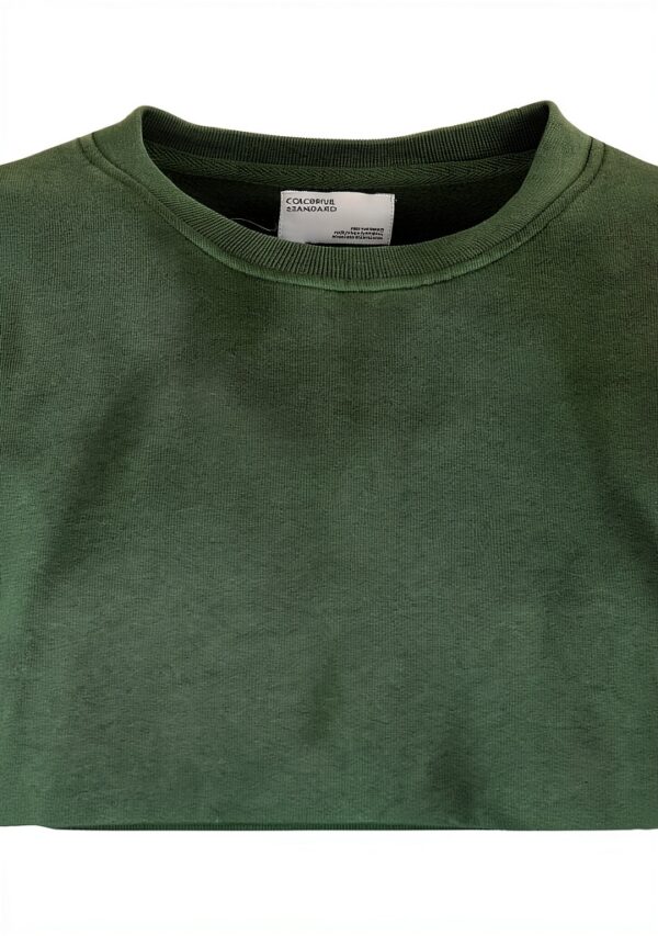 Sweatshirt à capuche Colorful Standard en coton vert émeraude-1