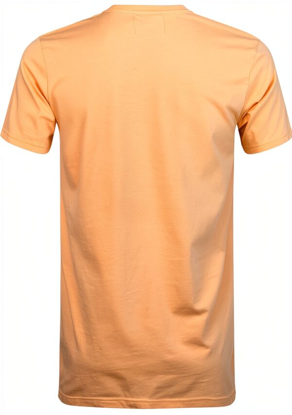 T-shirt Colorful Standard en coton organique Sandstone Orange pour-3