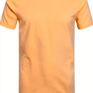 T-shirt Colorful Standard en coton organique Sandstone Orange pour-0
