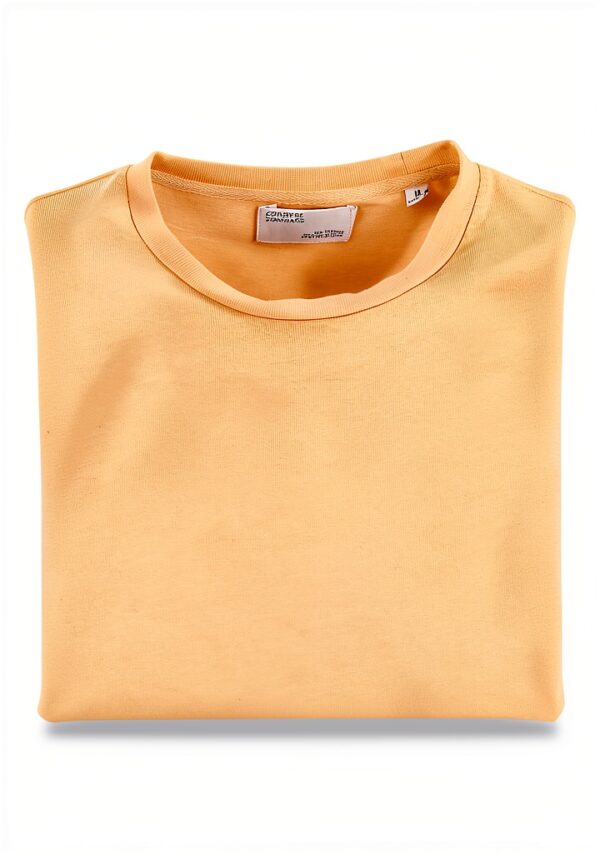 T-shirt Colorful Standard en coton organique Sandstone Orange pour-1