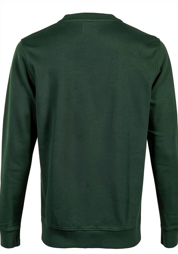 Sweatshirt à capuche Colorful Standard en coton vert émeraude-3