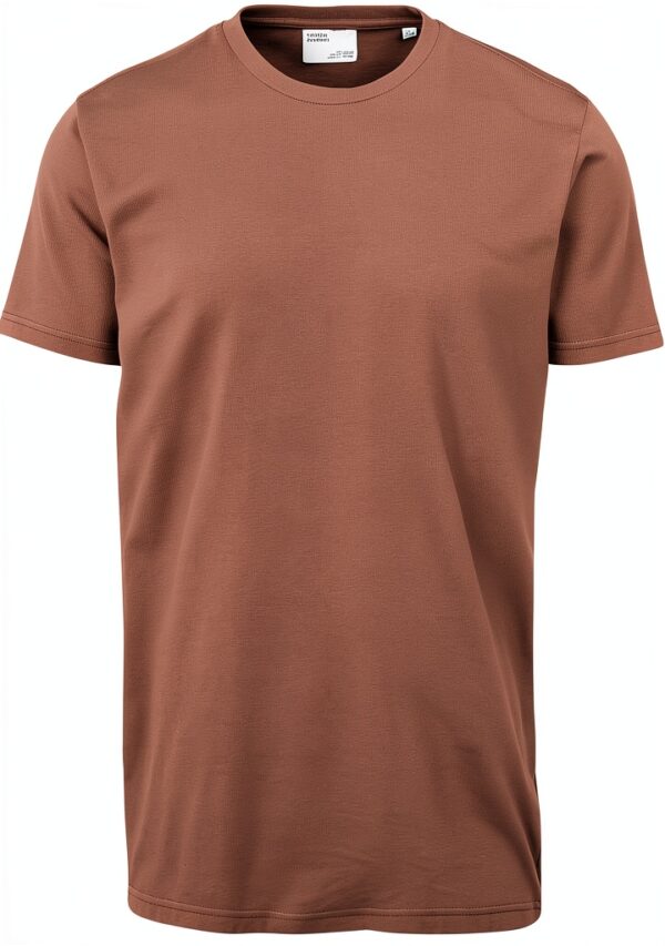 T-shirt Homme Colorful Standard en Coton Organique, Coupe Régulière,-0