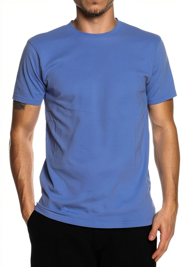 COLORFUL STANDARD T T-shirt pour homme Bleu-0
