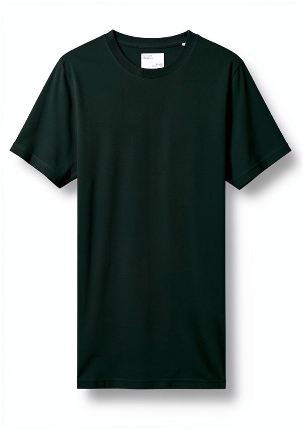 T-shirt Homme Colorful Standard Vert Émeraude Organique-0