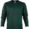 Sweatshirt à capuche Colorful Standard en coton vert émeraude-0