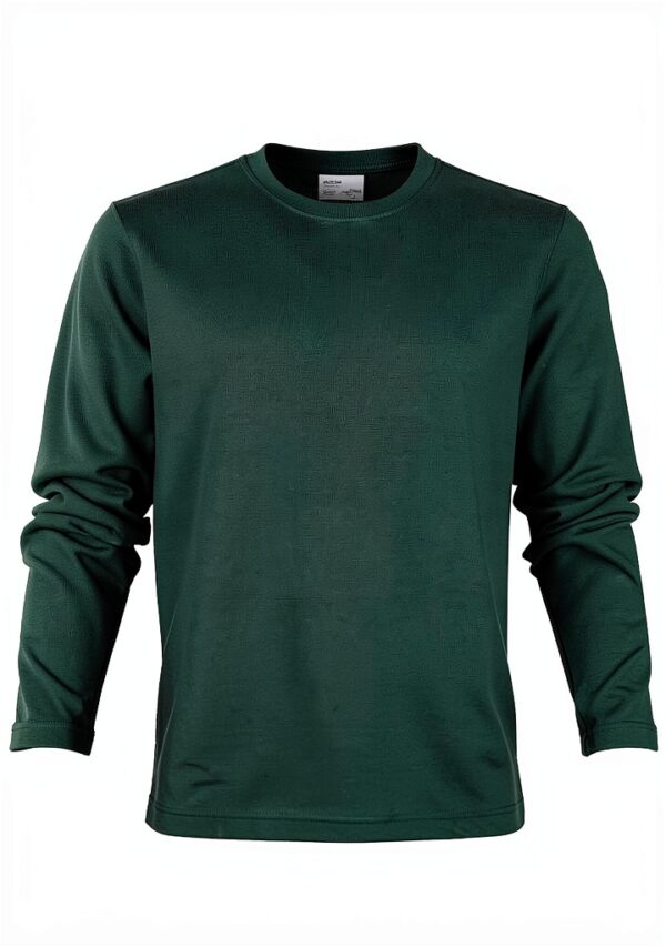 Sweatshirt à capuche Colorful Standard en coton vert émeraude-0