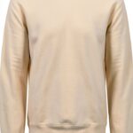 Sweatshirt en coton biologique Colorful Standard, Polar Blue, coupe-0