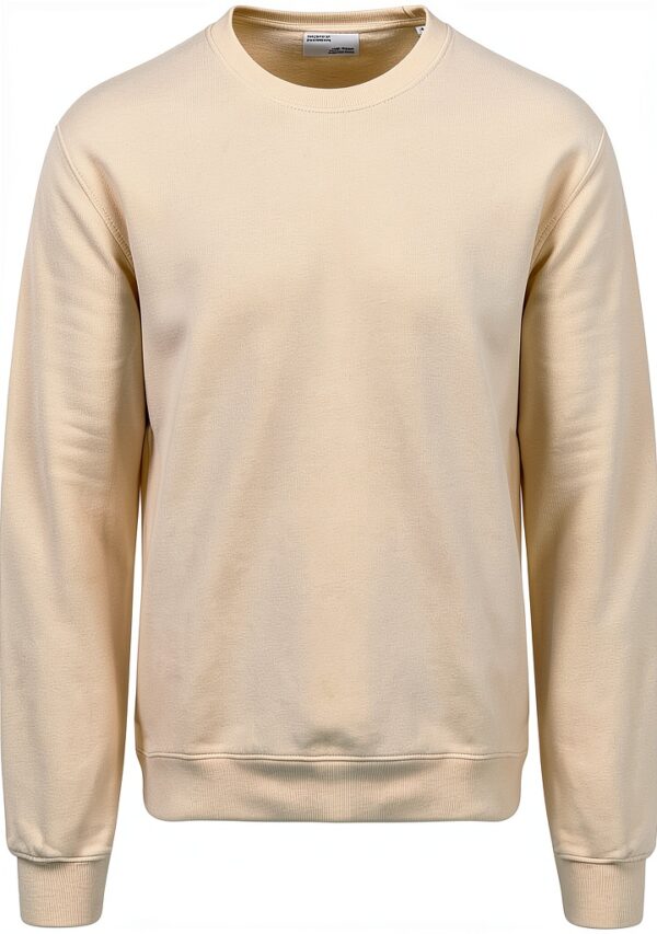 Sweatshirt en coton biologique Colorful Standard, Polar Blue, coupe-0