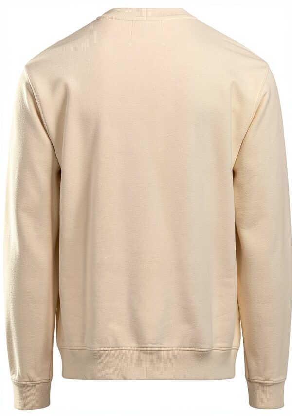Sweatshirt en coton biologique Colorful Standard, Polar Blue, coupe-3
